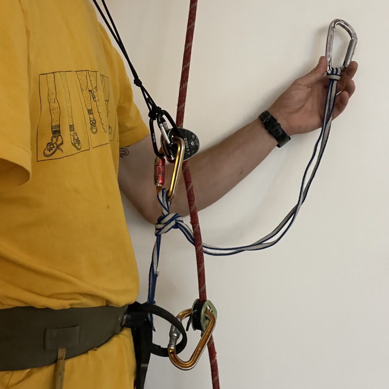From “Freesnake Fix and Follow”