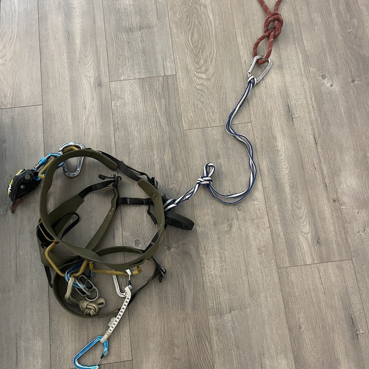 From “Freesnake Fix and Follow”