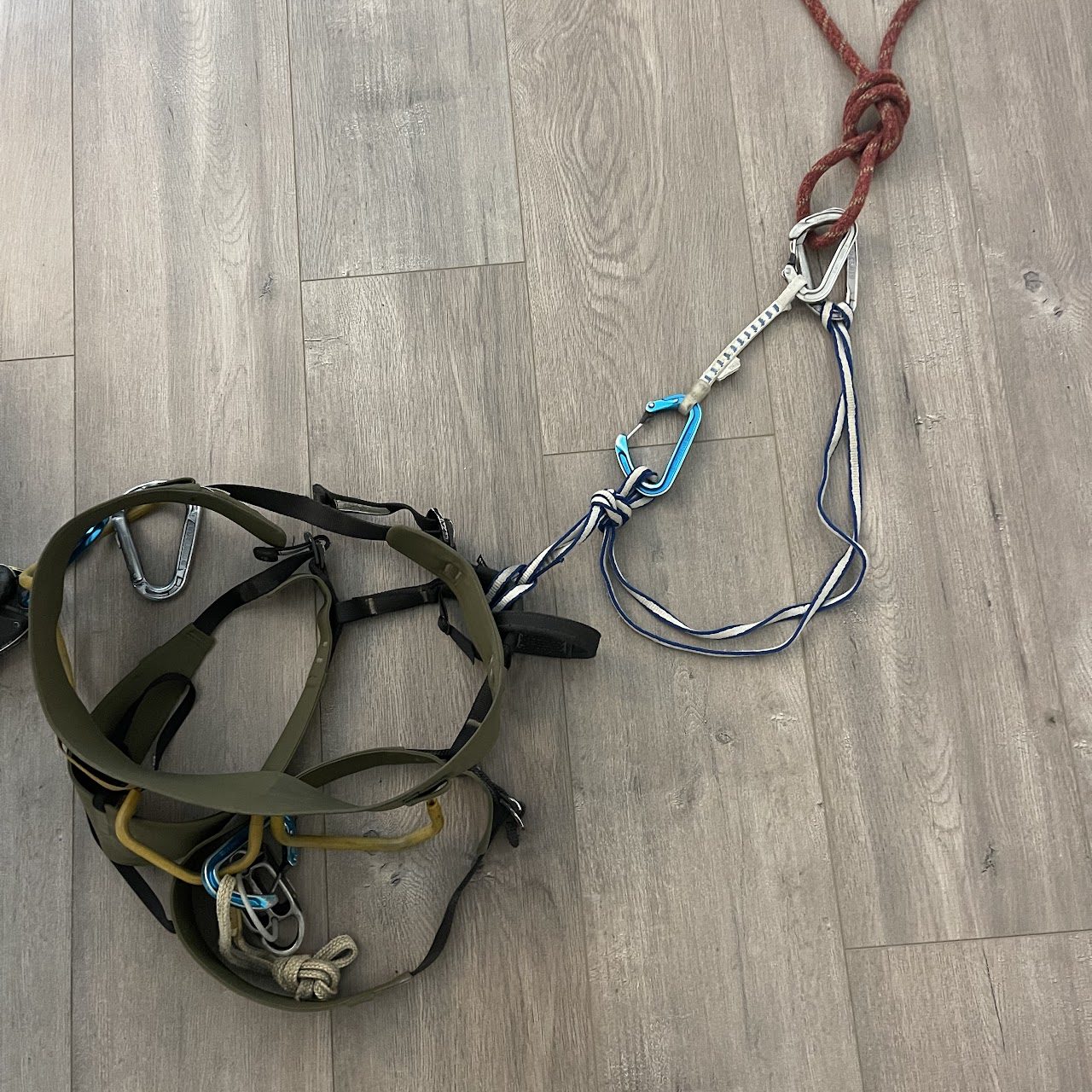 From “Freesnake Fix and Follow”