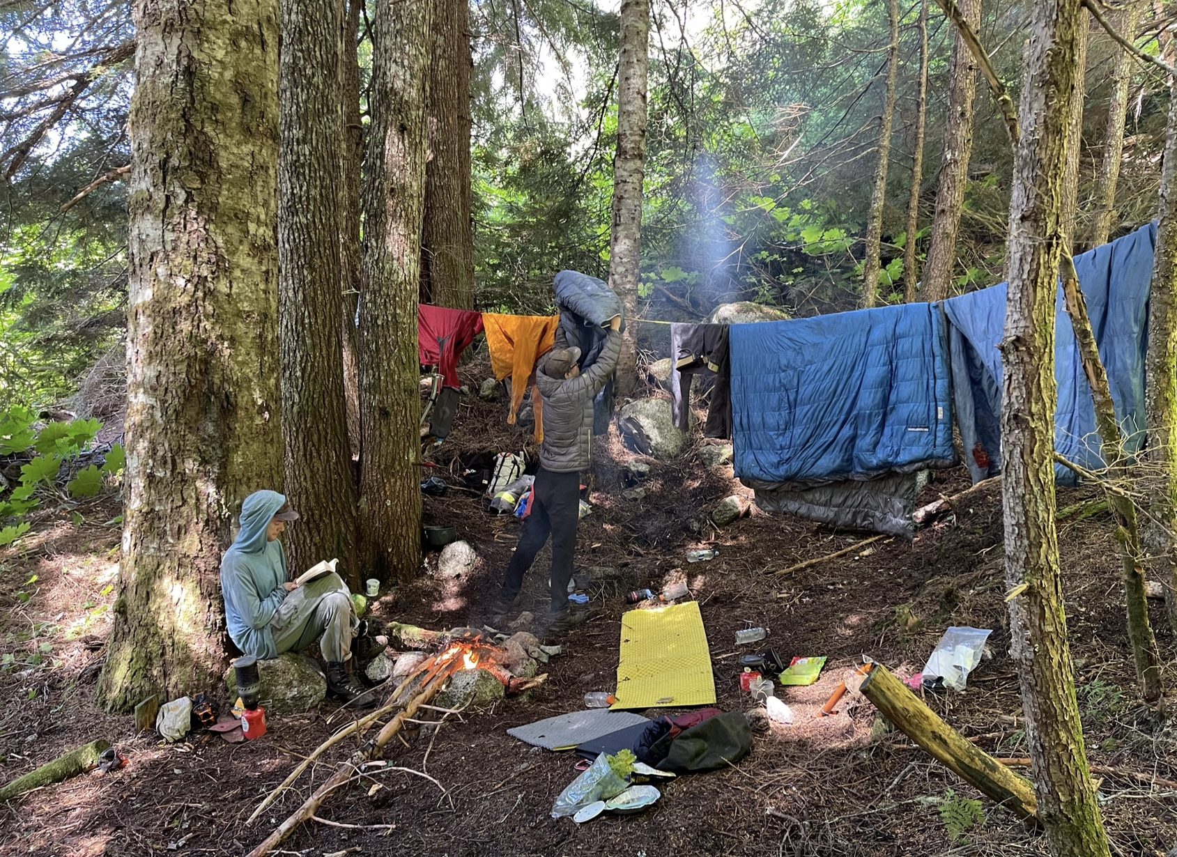 From “Mt. Bute 2022 - Foiled by Foliage (and Fuel)”