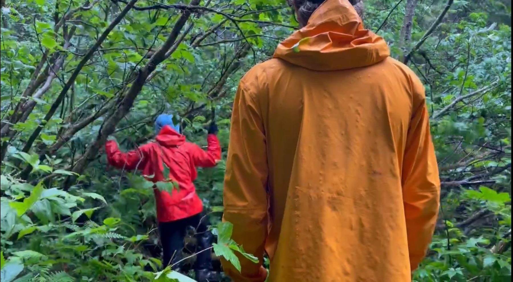 From “Mt. Bute 2022 - Foiled by Foliage (and Fuel)”