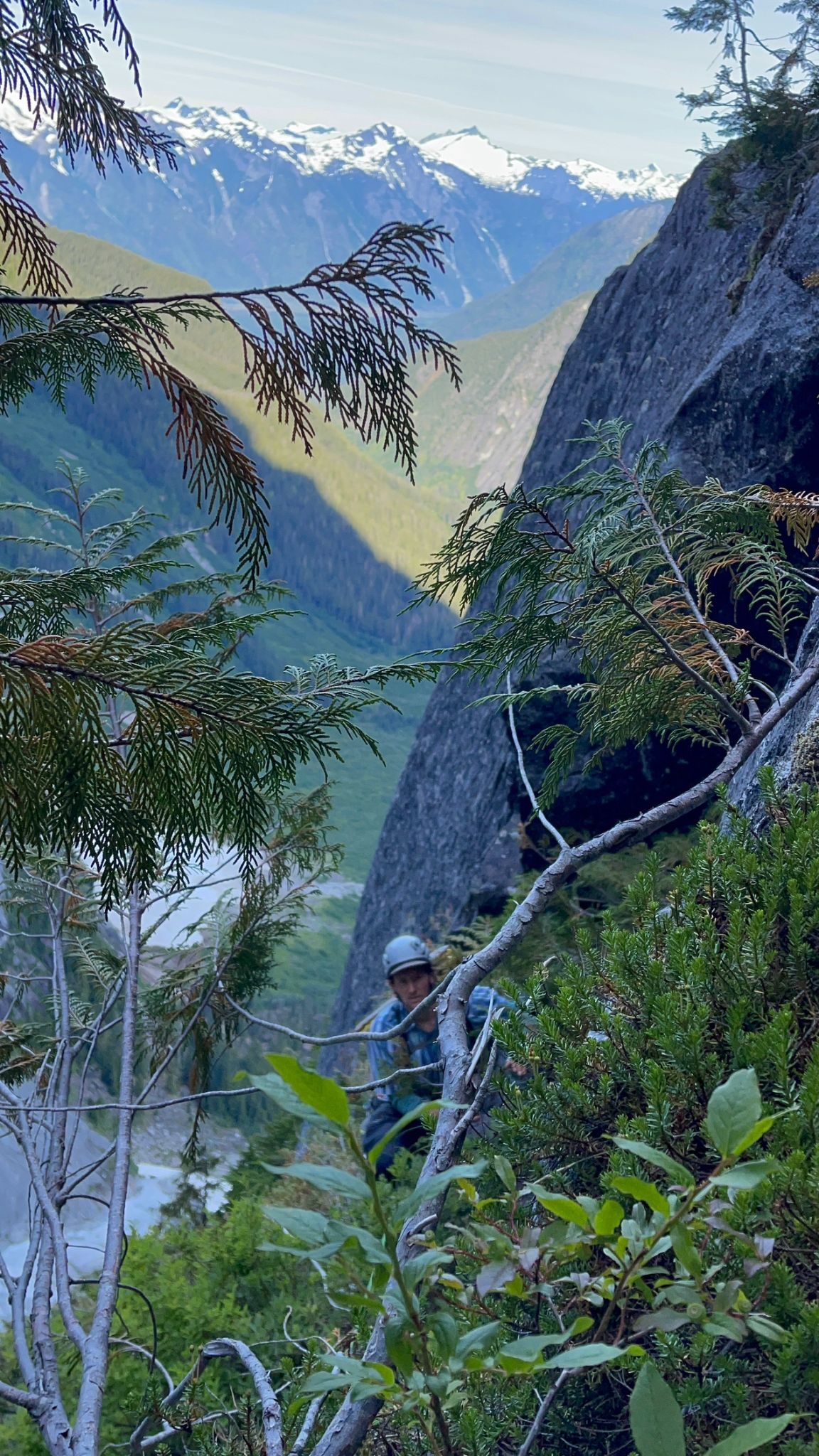 From “Mt. Bute 2022 - Foiled by Foliage (and Fuel)”