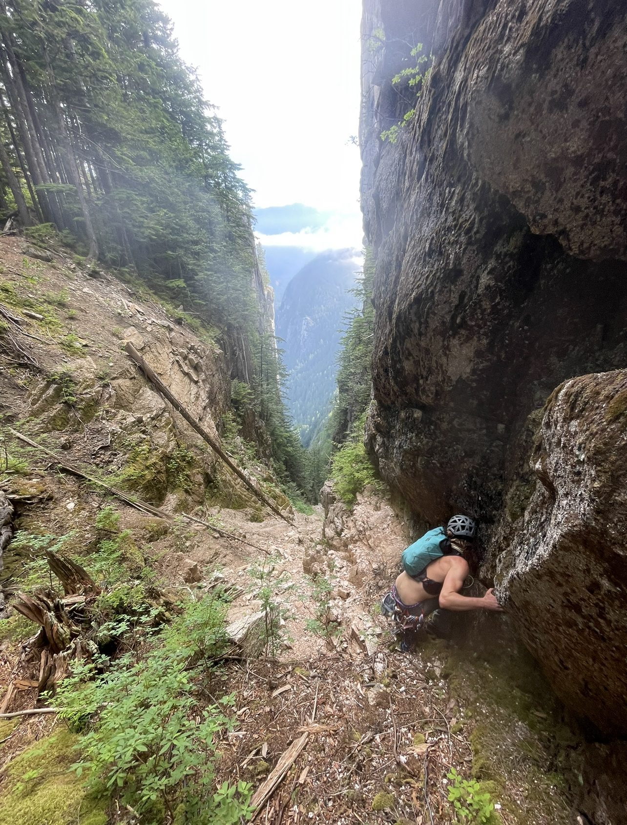 From “The P.L.U.R.L. - Penny Lane Ultimate Reality Linkup, Squamish BC”