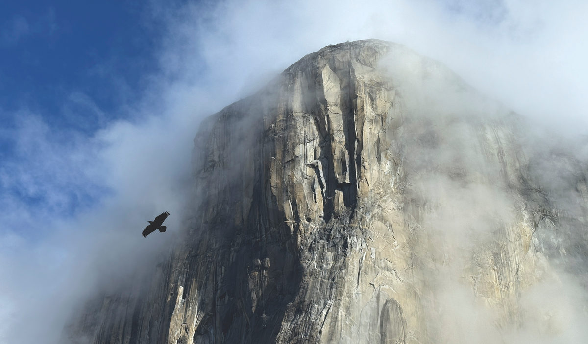 A vast granite face half-hidden in cloud with a bird gliding across it