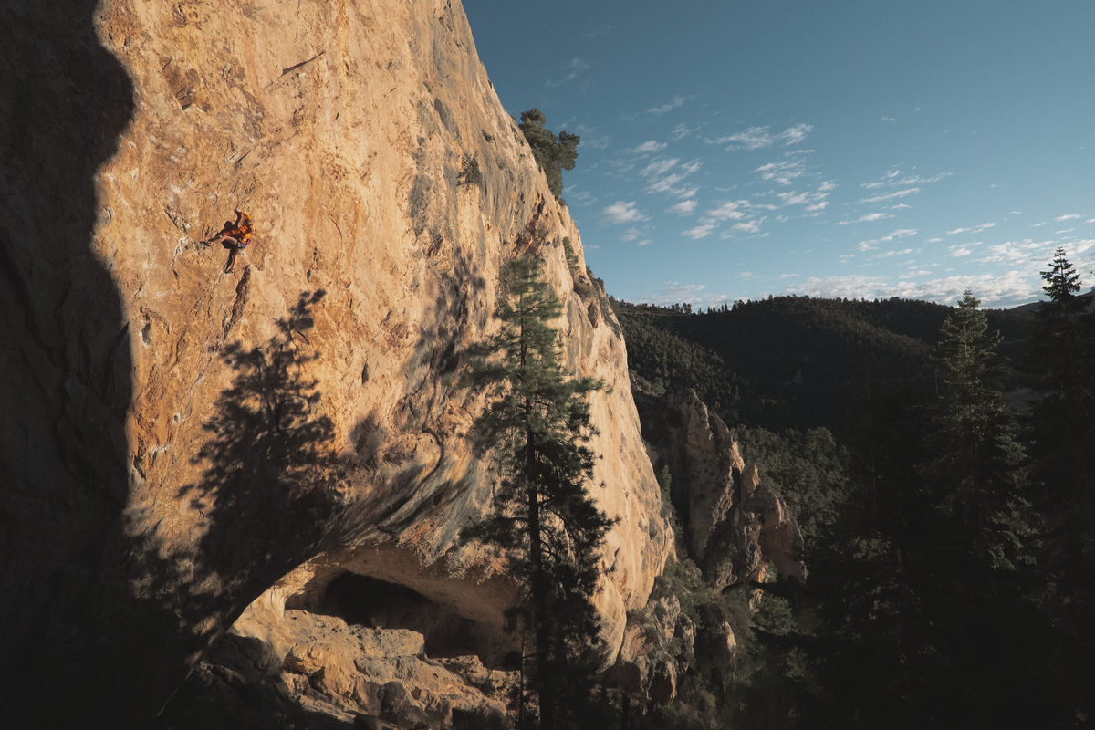 A lone climber high on a huge golden overhanging wall in evening light, pines on the slope below